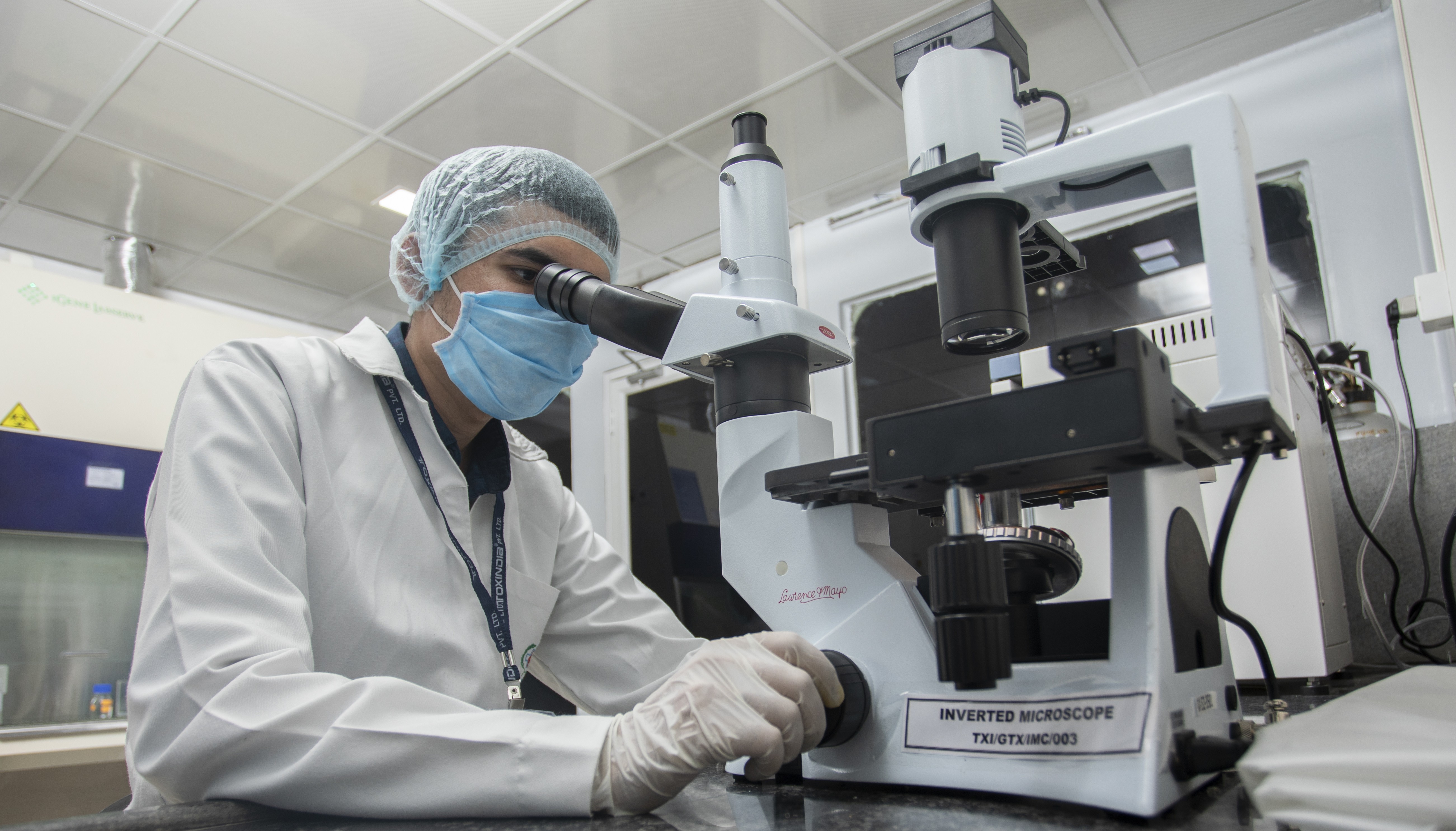 Histopathology Image 1