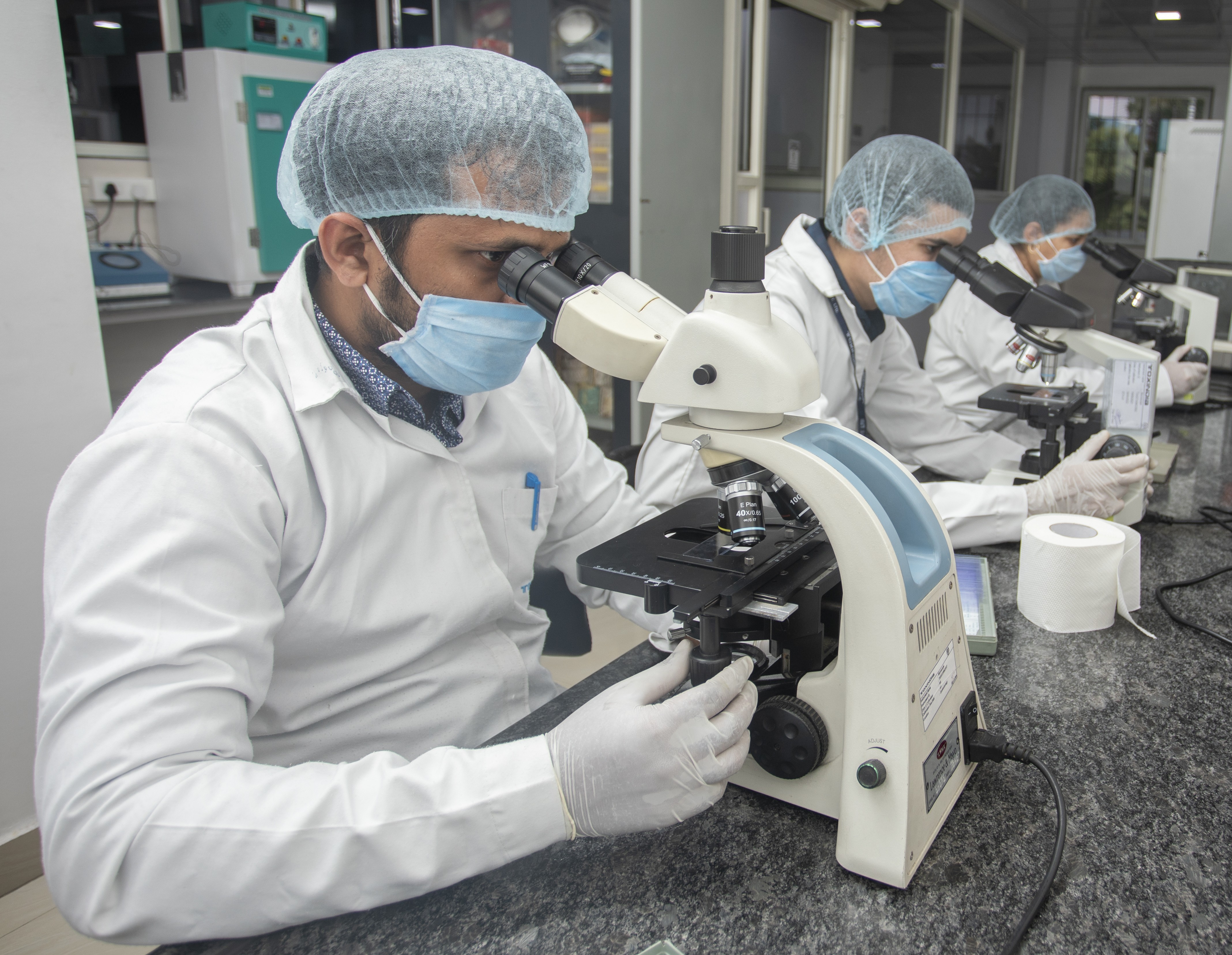 Histopathology Image 1