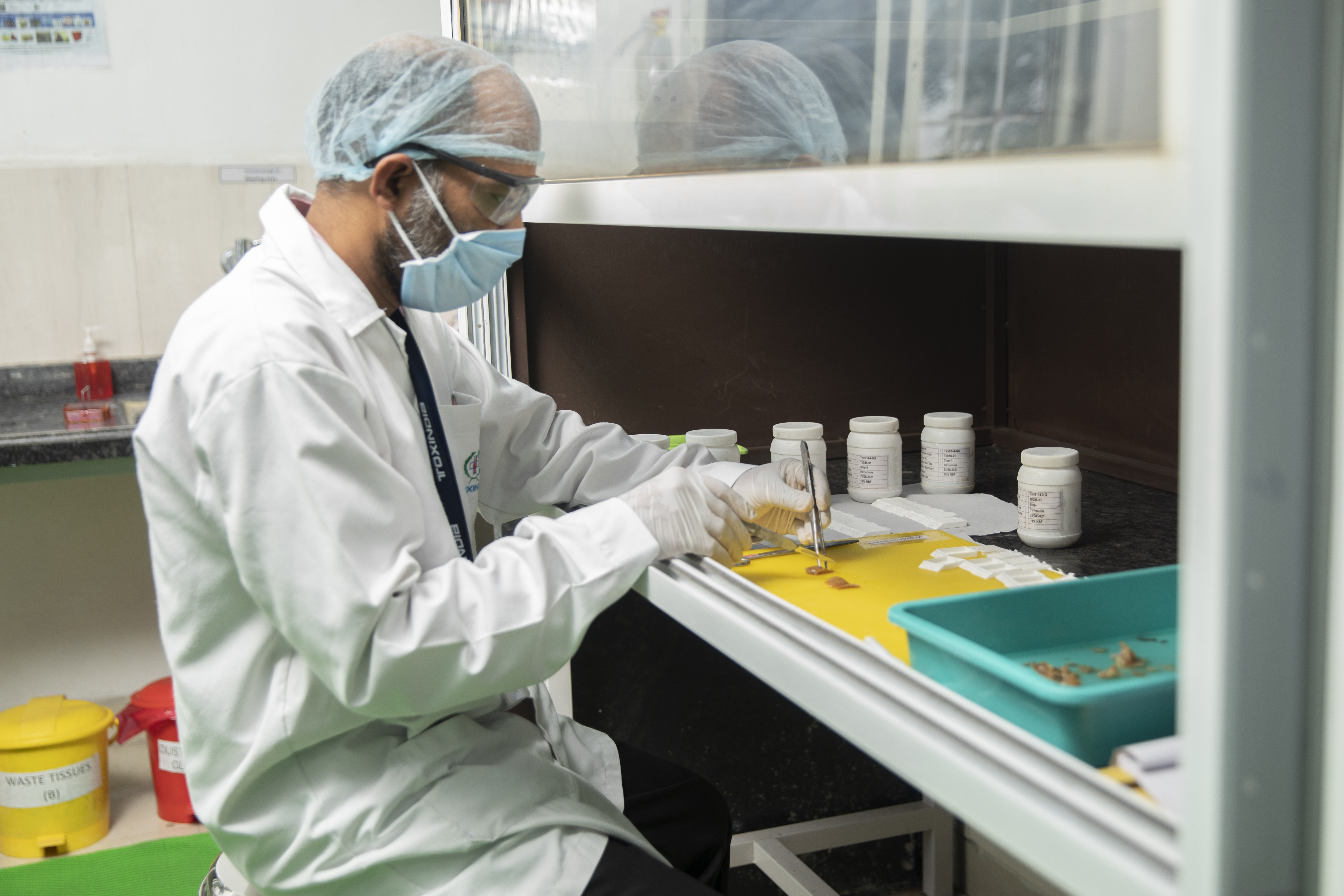 Histopathology Image 3